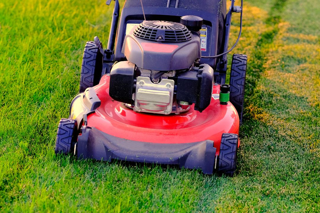 lawn mowing castle hill