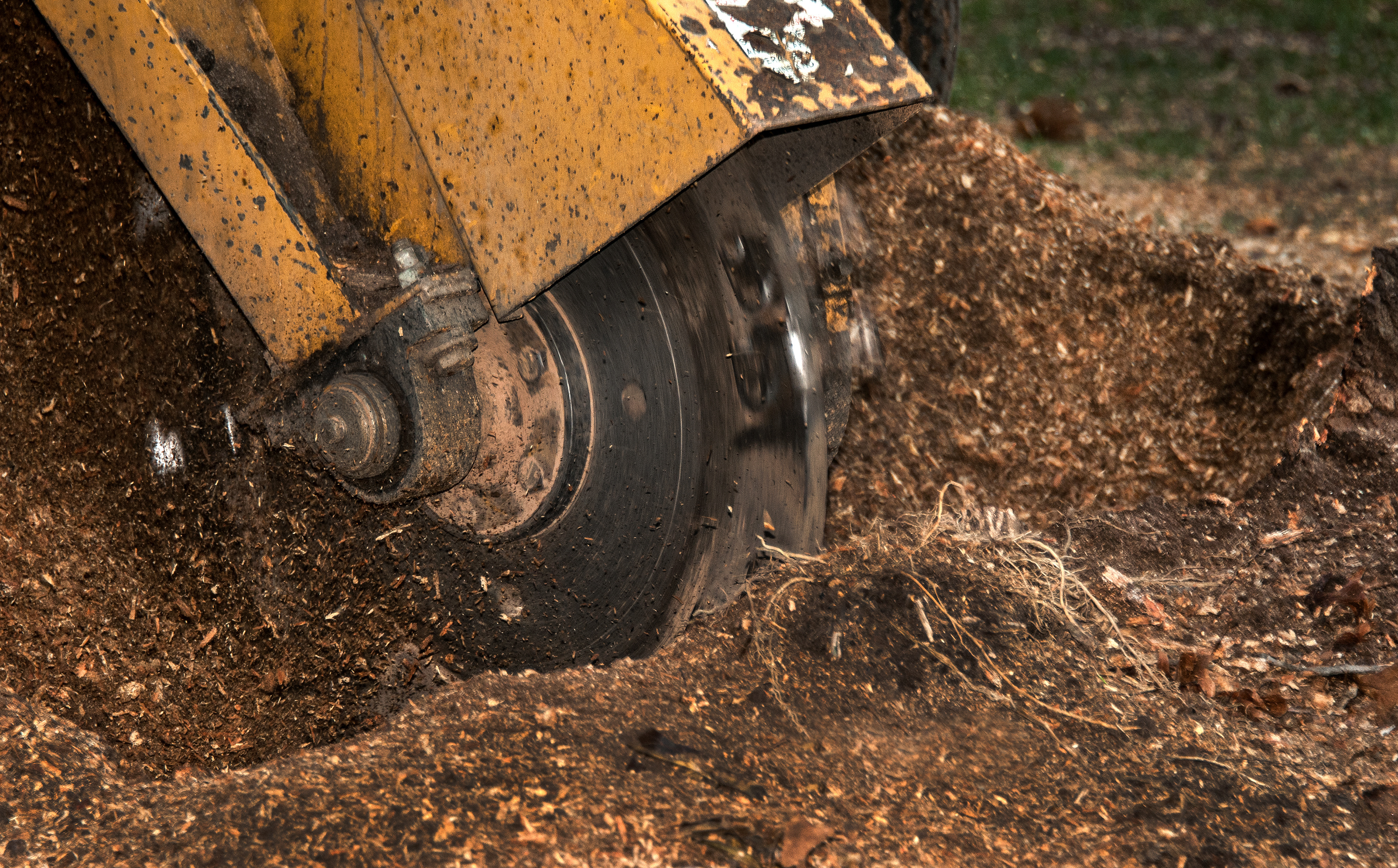  Hills District Stump Grinding