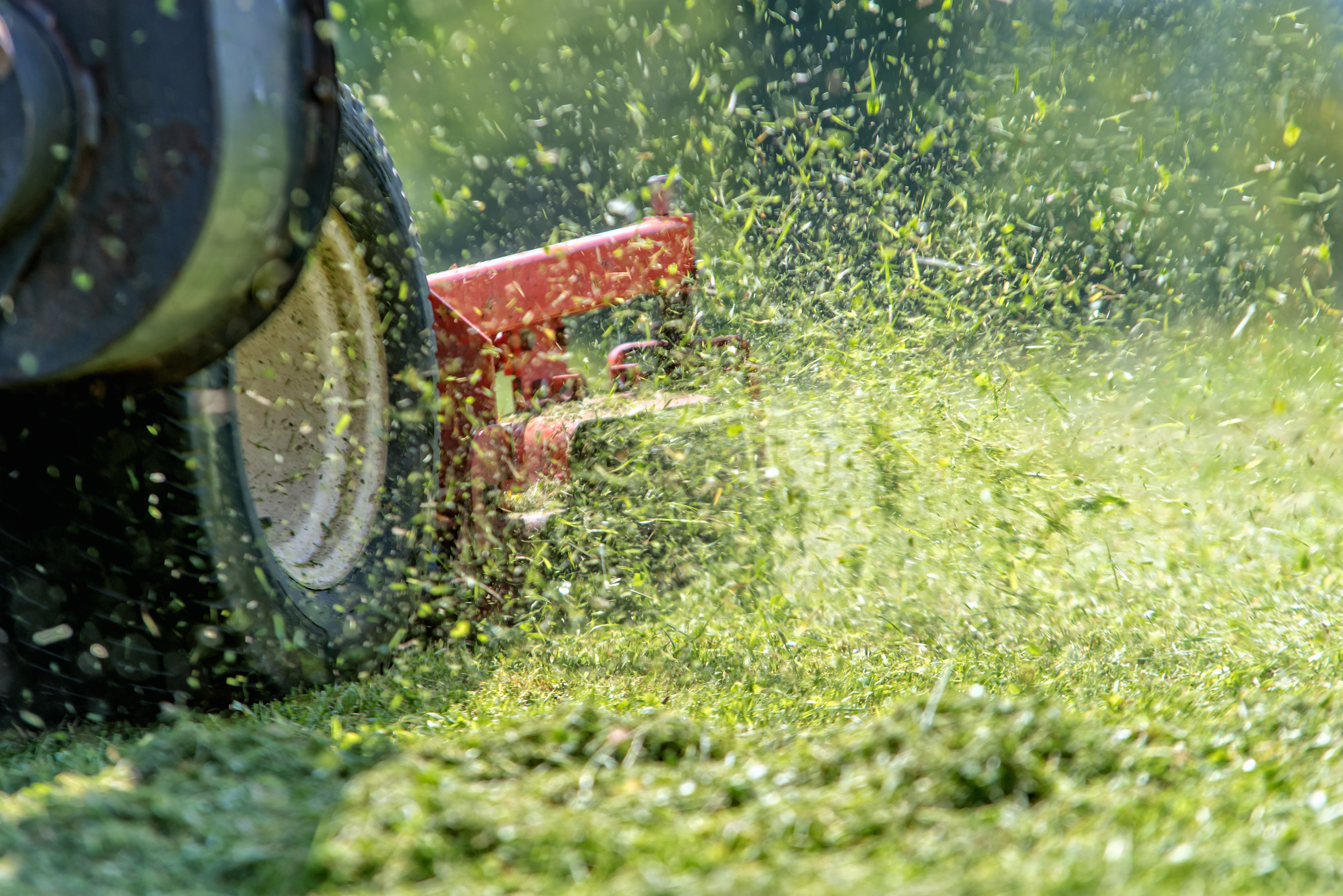  Lawn Mowing Castle Hill